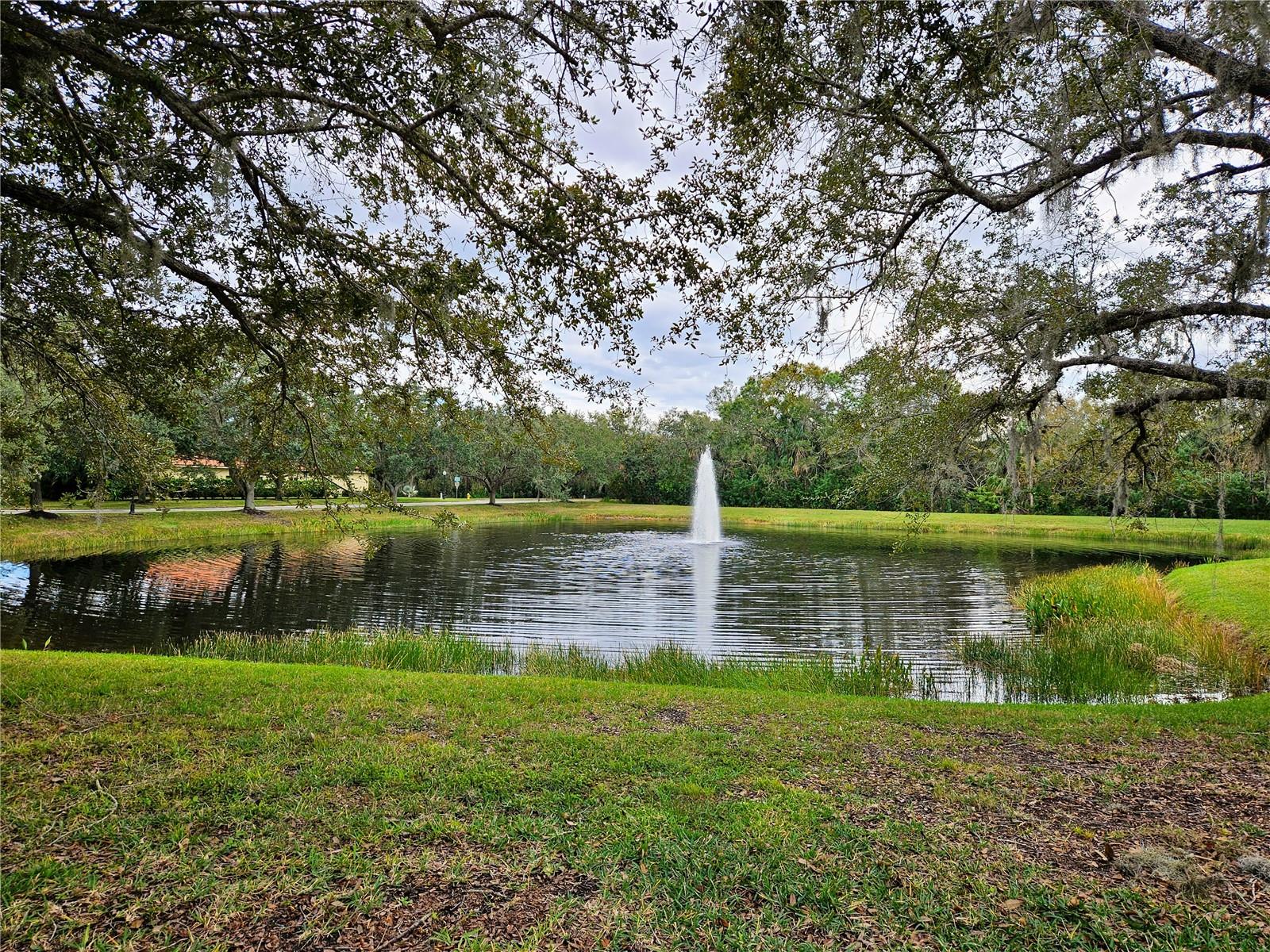 12538 CARA CARA LOOP, BRADENTON, FL, 34212