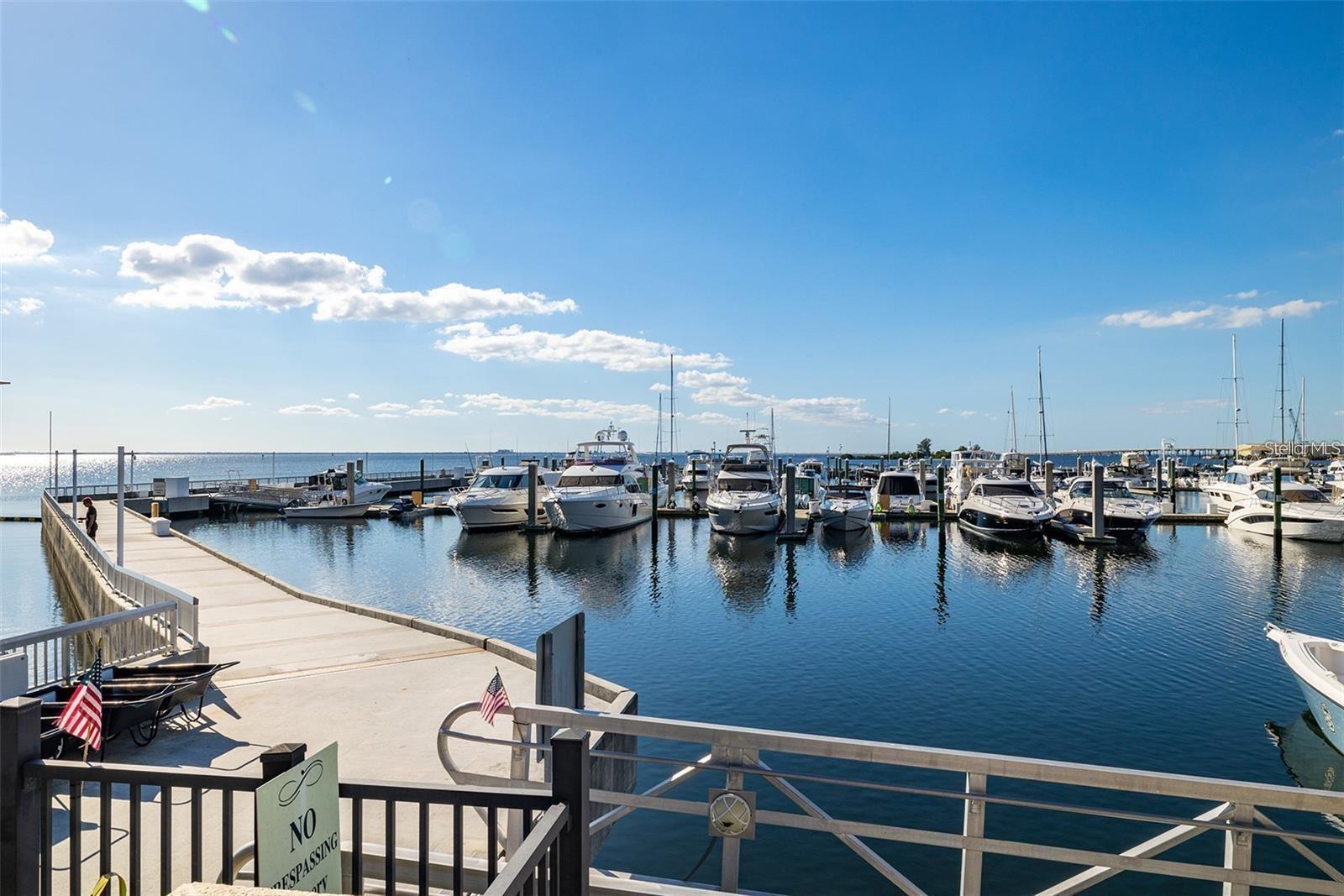 6002 YEATS MANOR DR #101, TAMPA, FL, 33616