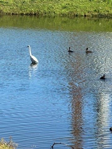 5575 SLASH PINE CT #5575, ORLANDO, FL, 32811