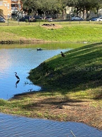 5575 SLASH PINE CT #5575, ORLANDO, FL, 32811