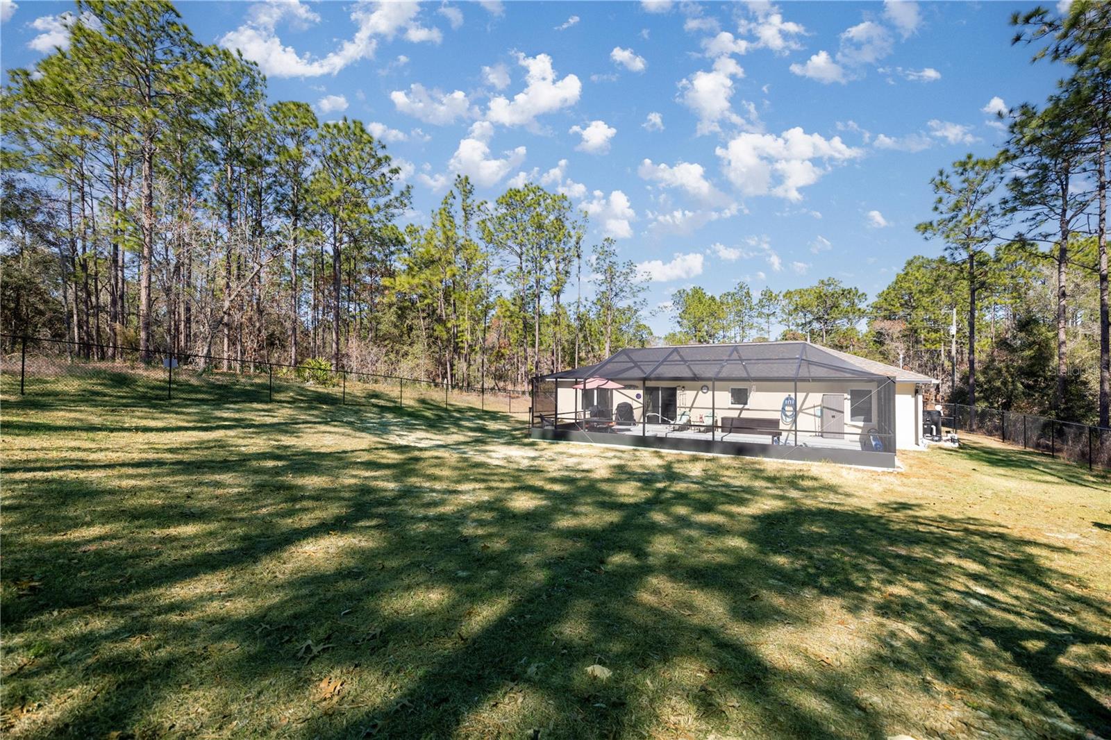 3820 W POINCIANA ST, CITRUS SPRINGS, FL, 34433