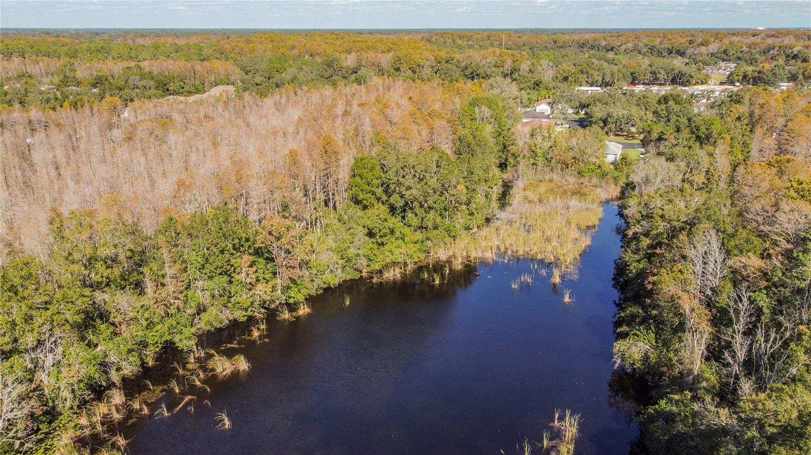 11630 BAYWOOD MEADOWS DR #2, NEW PORT RICHEY, FL, 34654
