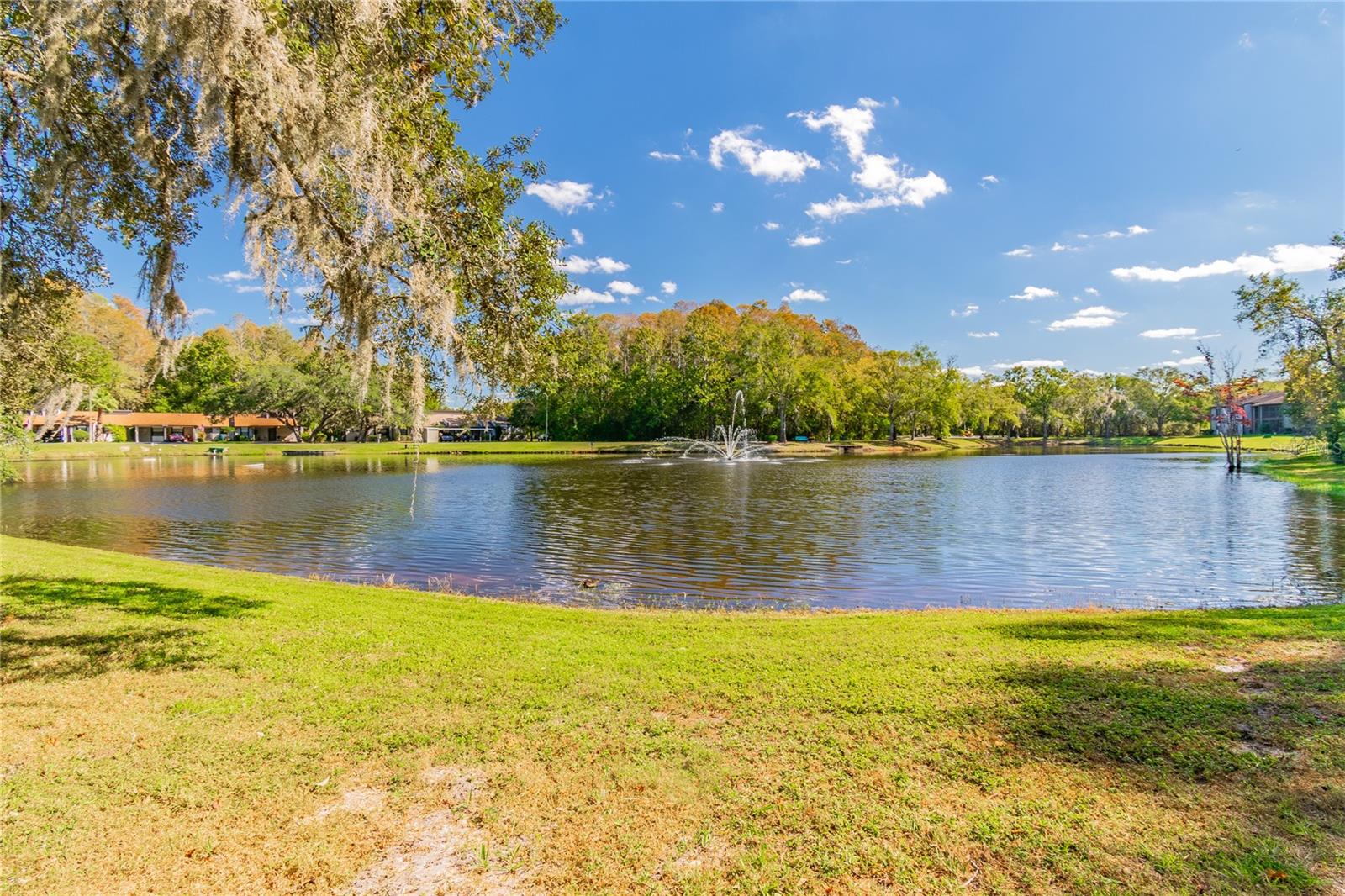 11630 BAYWOOD MEADOWS DR #2, NEW PORT RICHEY, FL, 34654