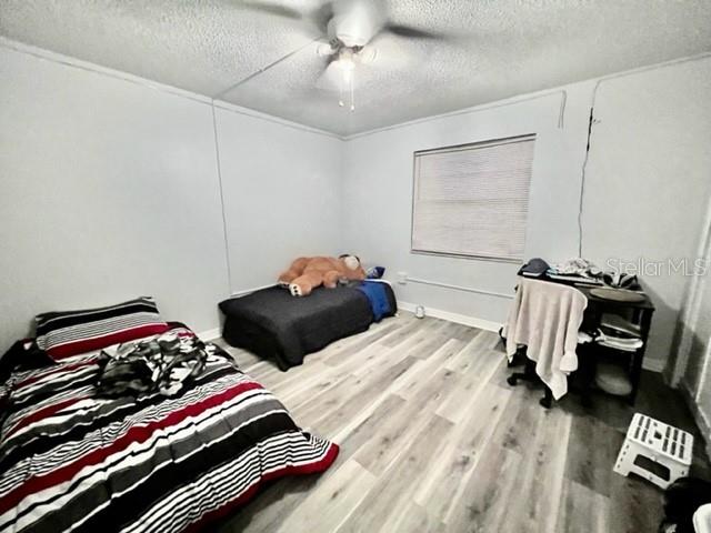 11630 BAYWOOD MEADOWS DR #2, NEW PORT RICHEY, FL, 34654