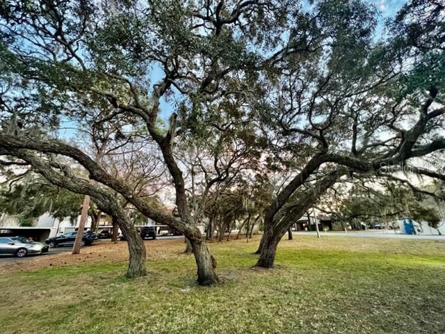 11630 BAYWOOD MEADOWS DR #2, NEW PORT RICHEY, FL, 34654