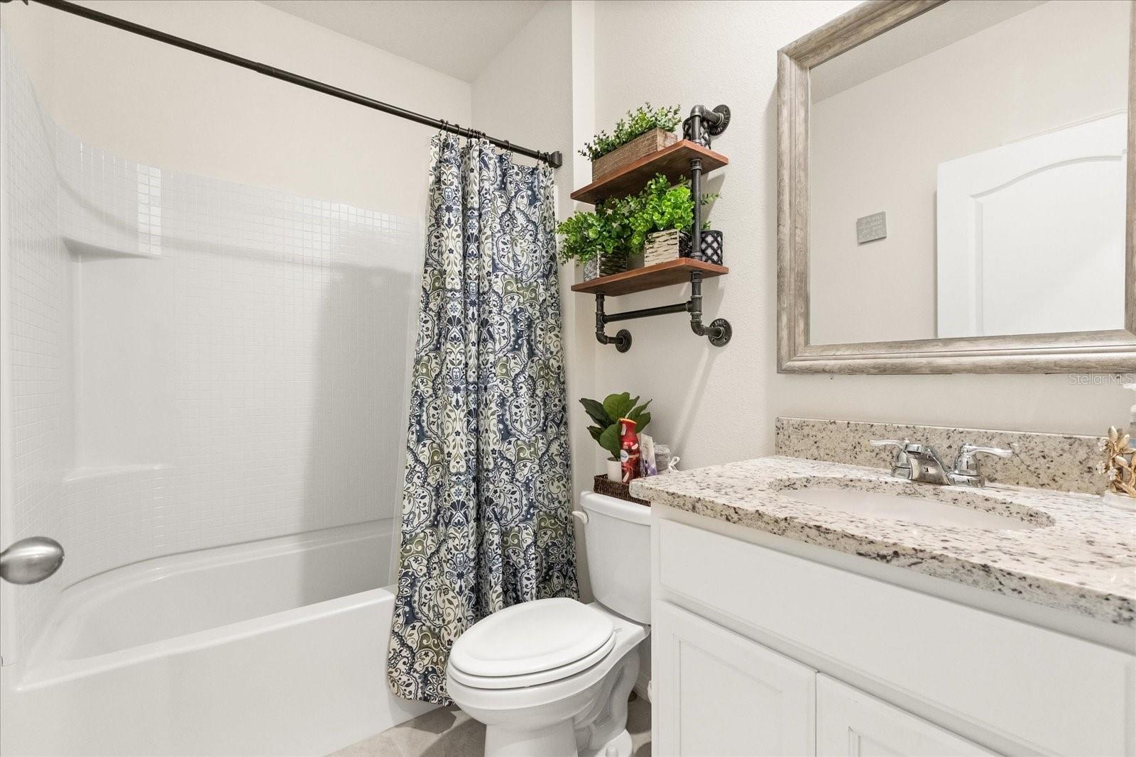 4861 PANGA AVE, MOUNT DORA, FL, 32757