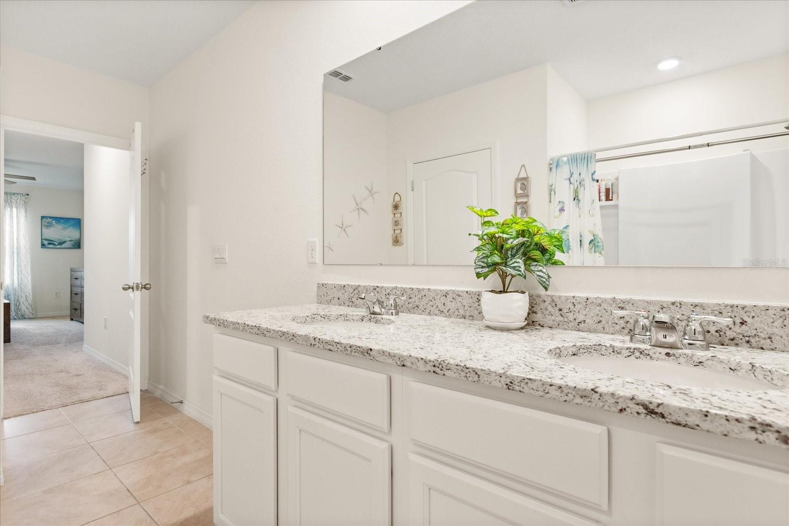 4861 PANGA AVE, MOUNT DORA, FL, 32757