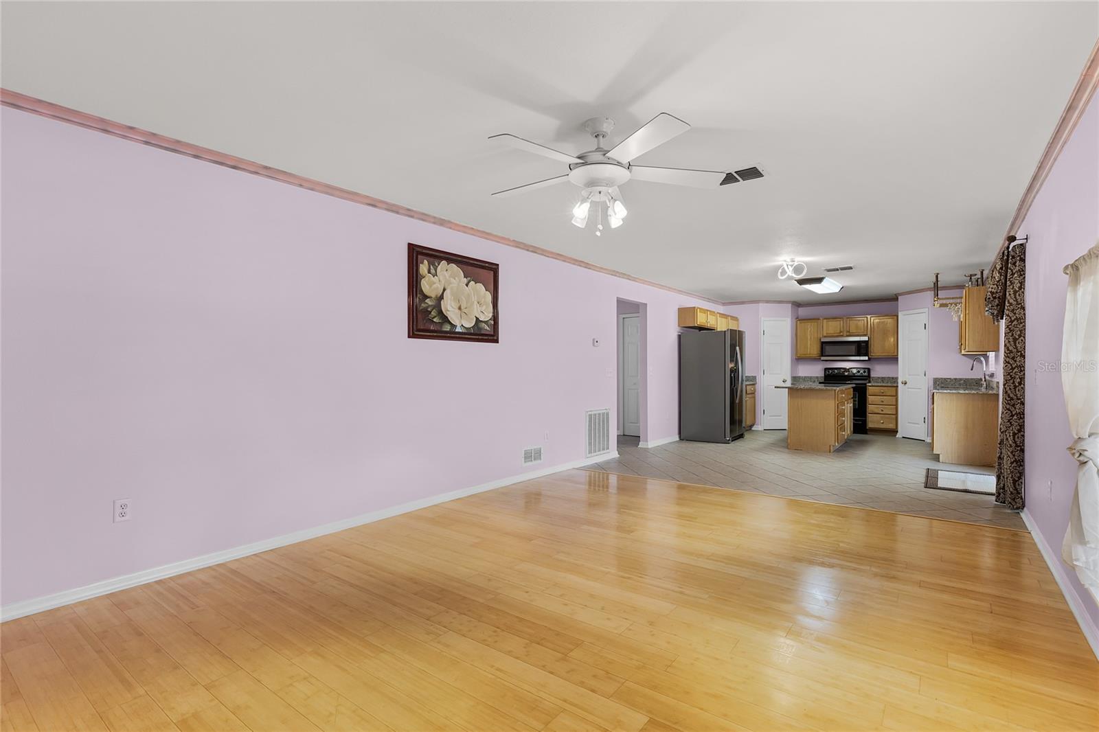 1605 S MARY ST, EUSTIS, FL, 32726