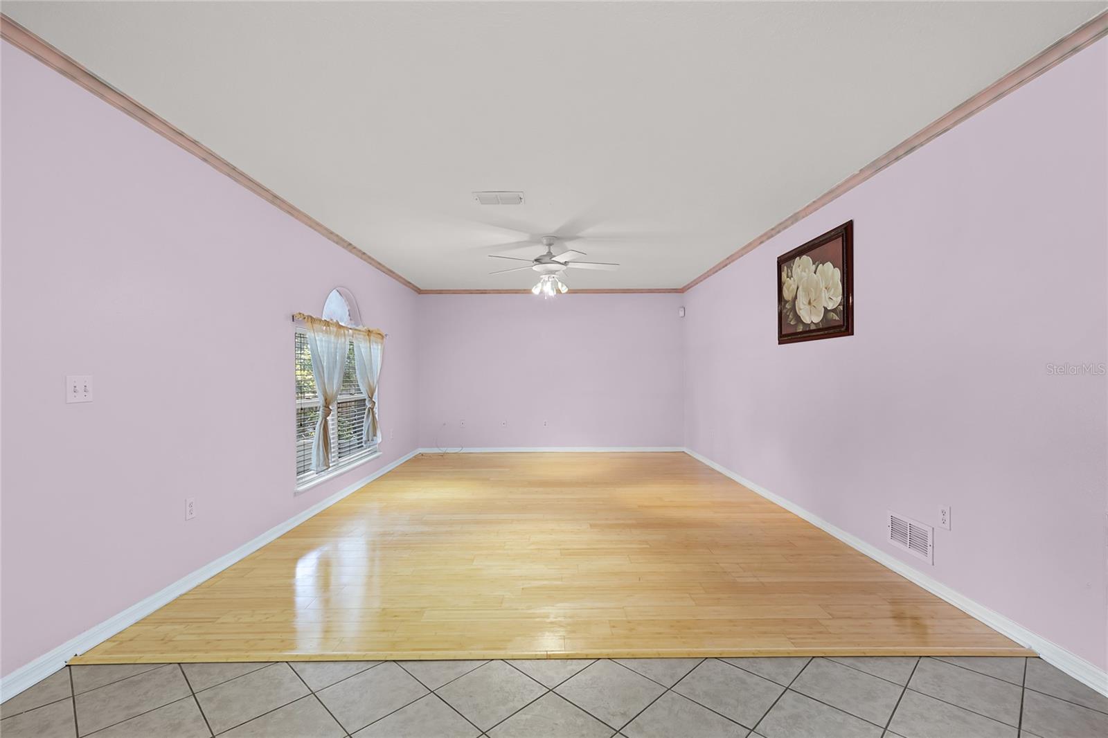 1605 S MARY ST, EUSTIS, FL, 32726