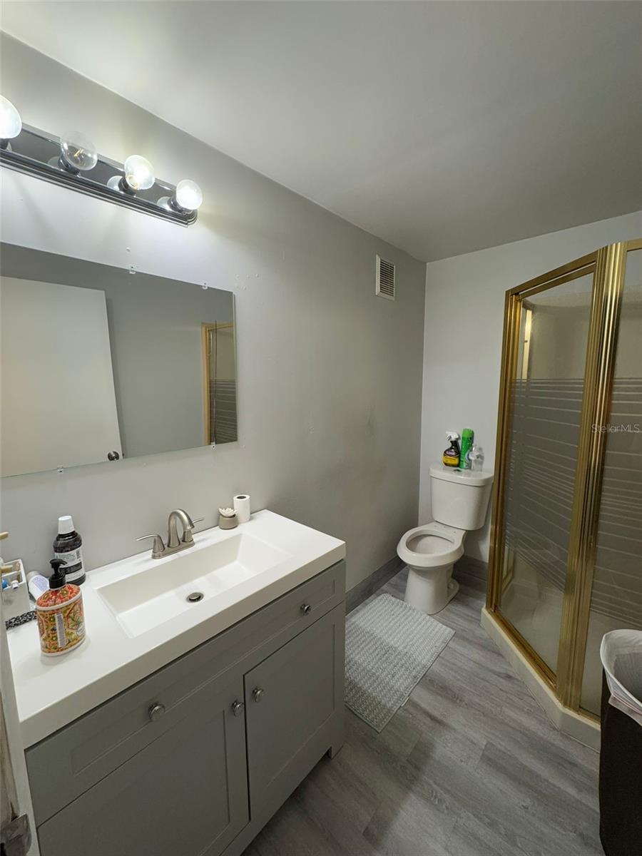 703 E CLAY AVE, BRANDON, FL, 33510