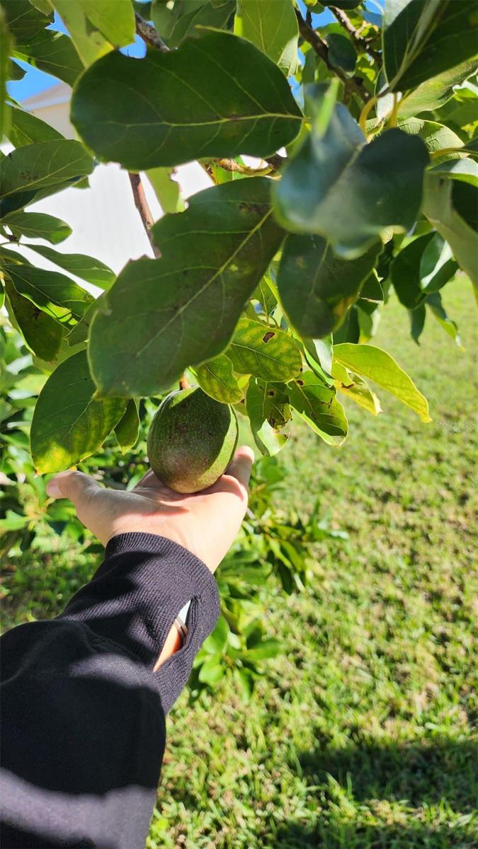 2111 LAPARELLE DRIVE, KISSIMMEE, FL, 34746