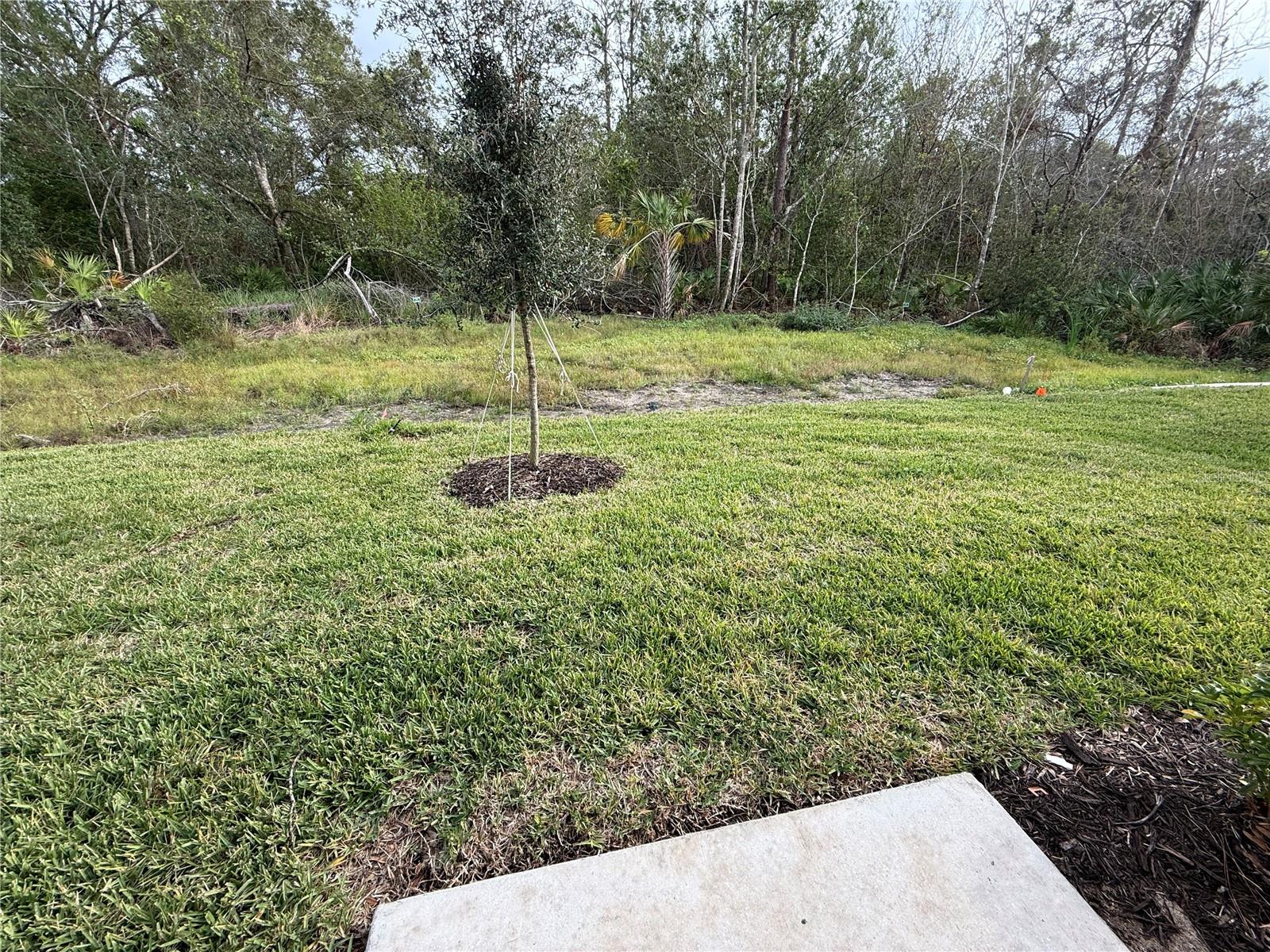 13905 LILAC SKY TER, BRADENTON, FL, 34211