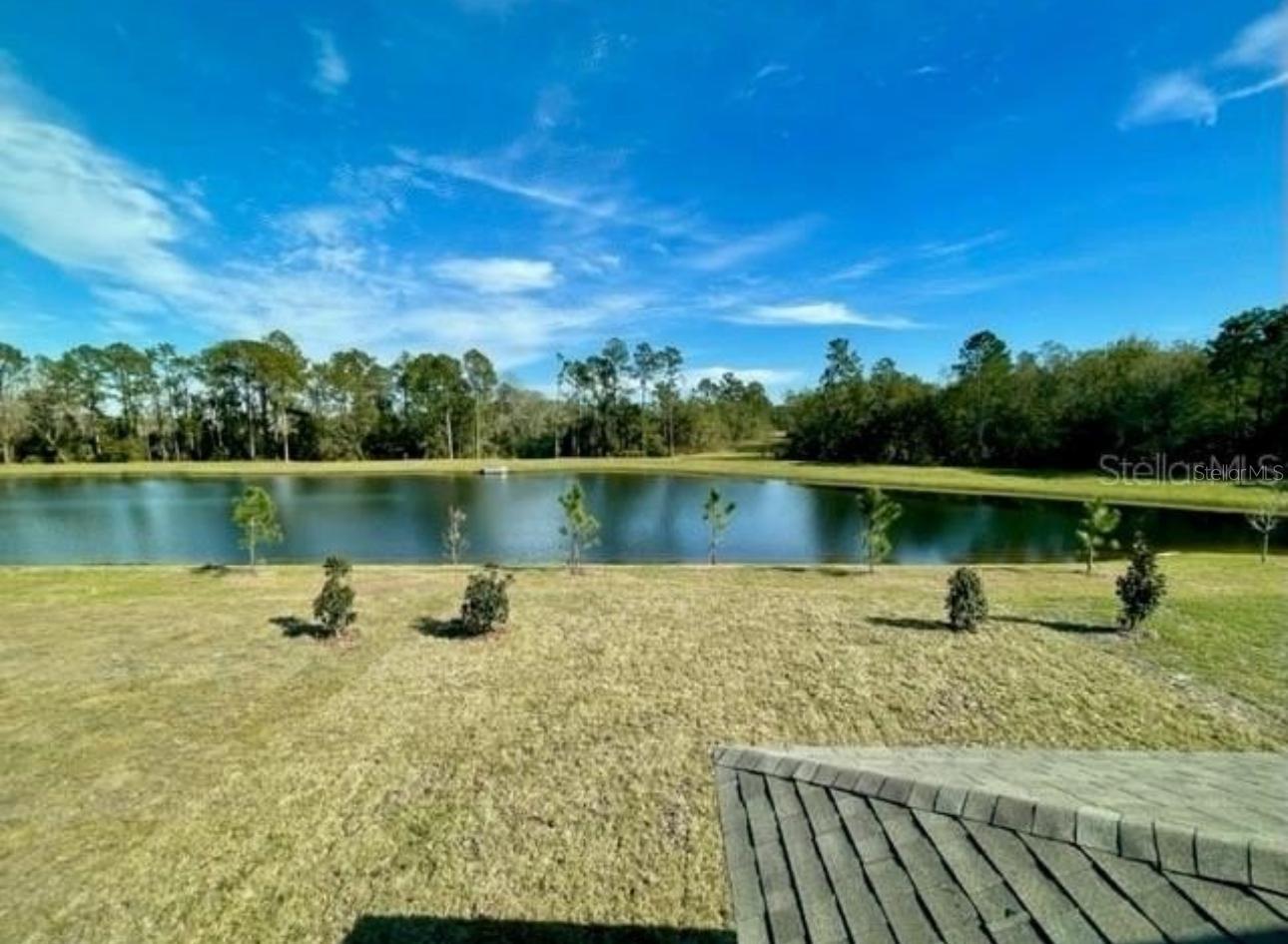 16364 WINDING PRESERVE CIR, CLERMONT, FL, 34714