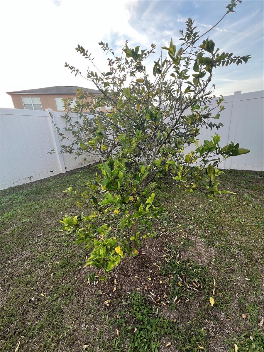 4447 MAPLE CHASE TRL, KISSIMMEE, FL, 34758