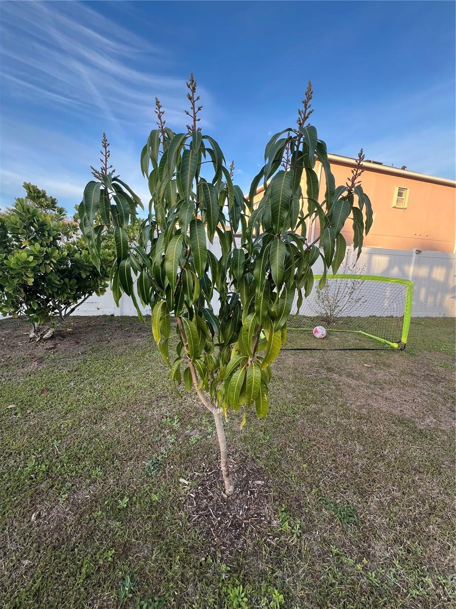 4447 MAPLE CHASE TRL, KISSIMMEE, FL, 34758