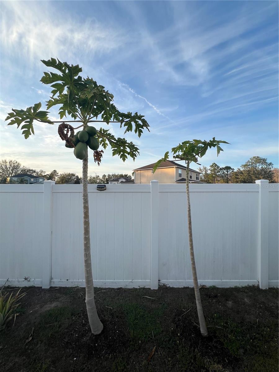 4447 MAPLE CHASE TRL, KISSIMMEE, FL, 34758