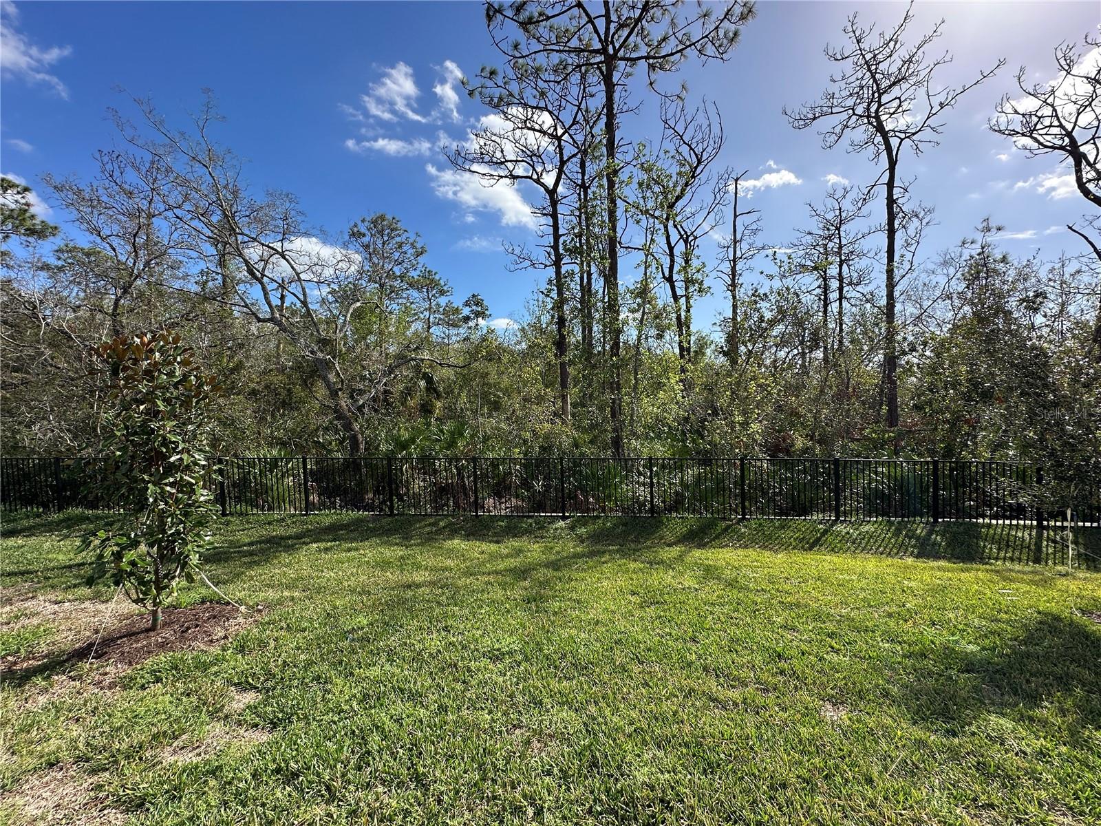 13917 LILAC SKY TER, BRADENTON, FL, 34211