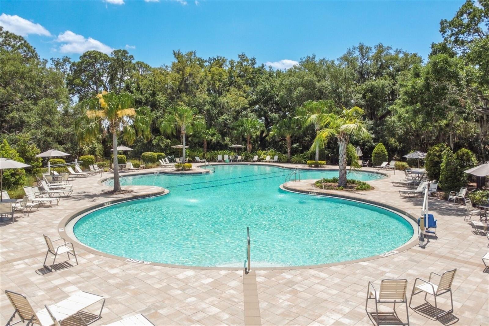 10008 LAST LIGHT GLN, PARRISH, FL, 34219