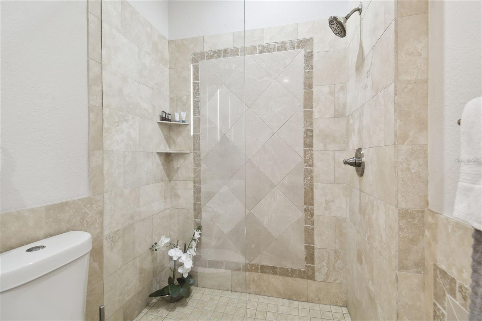 810 E CONOVER ST, TAMPA, FL, 33603