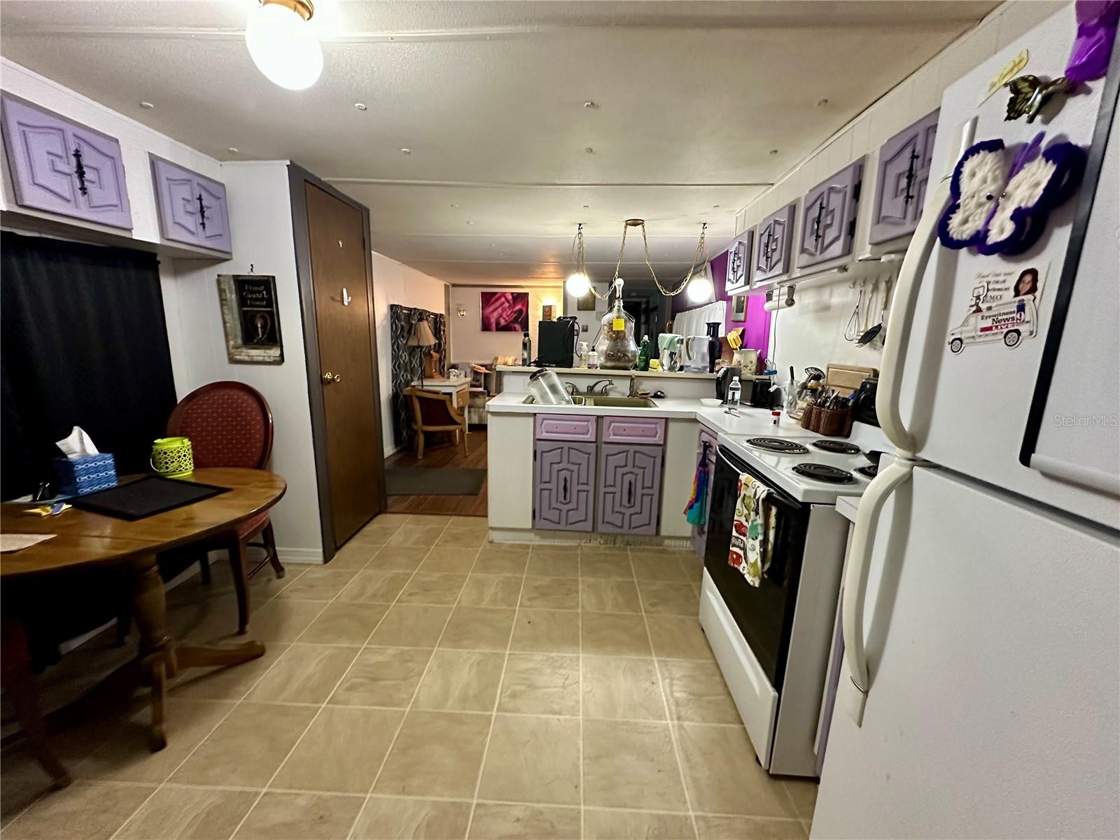 12710 SE 143RD CT, OCKLAWAHA, FL, 32179