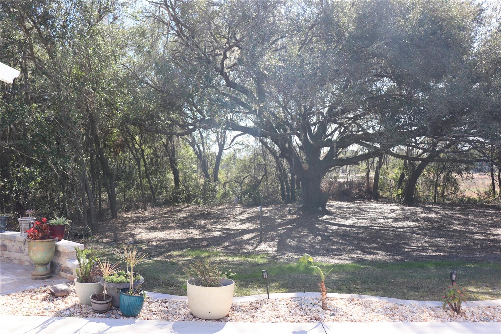 4909 SE 92ND BLVD, WEBSTER, FL, 33597