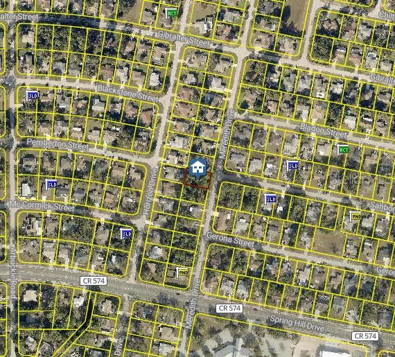 1451 MEREDITH DR, SPRING HILL, FL, 34608