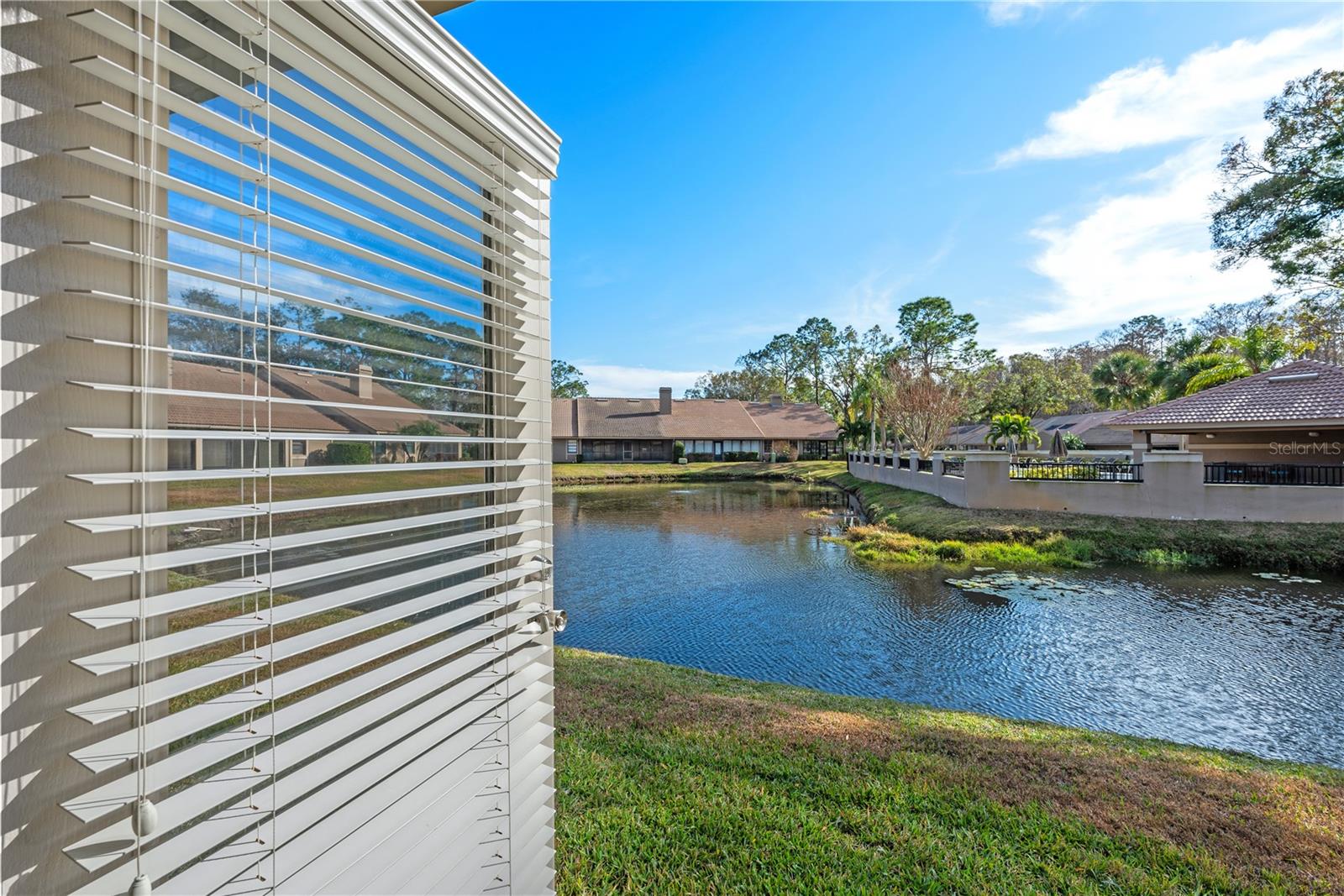 3224 JADEMOOR CIR, PALM HARBOR, FL, 34685