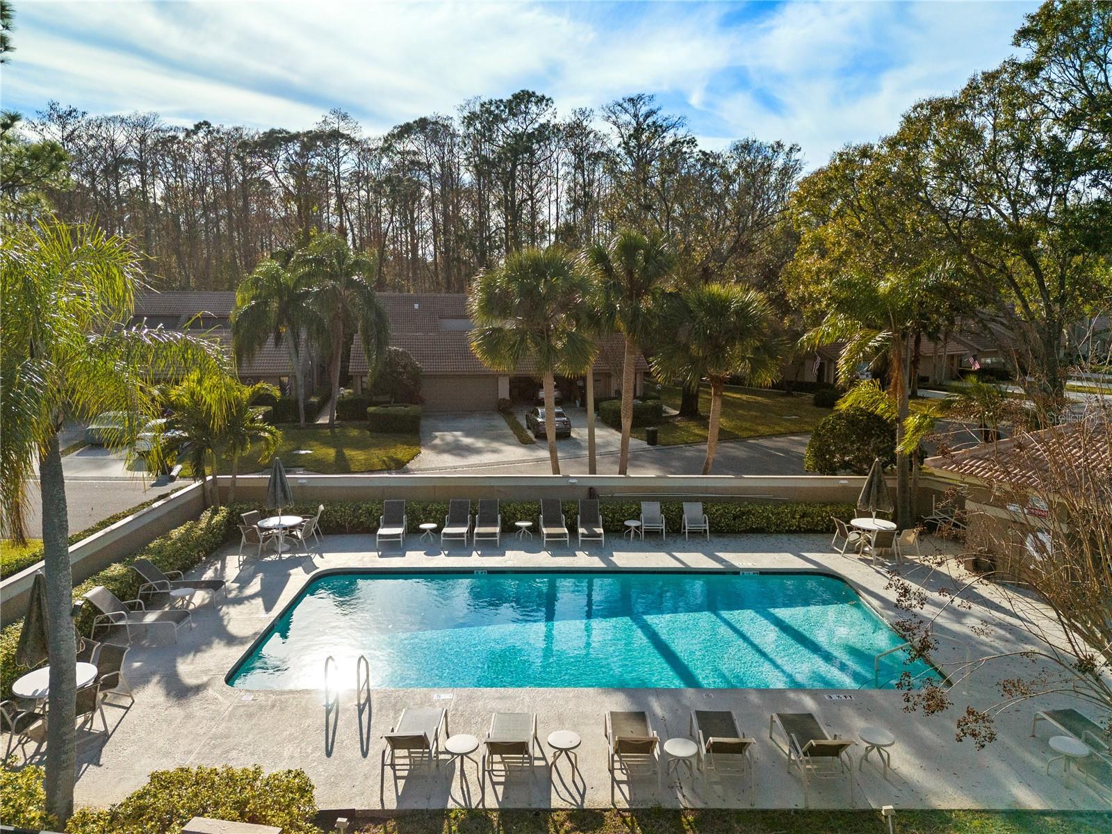 3224 JADEMOOR CIR, PALM HARBOR, FL, 34685