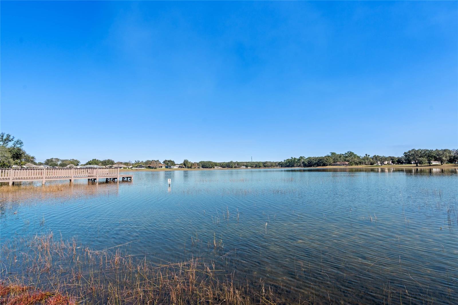 21152 ROYAL ST GEORGES LN, LEESBURG, FL, 34748