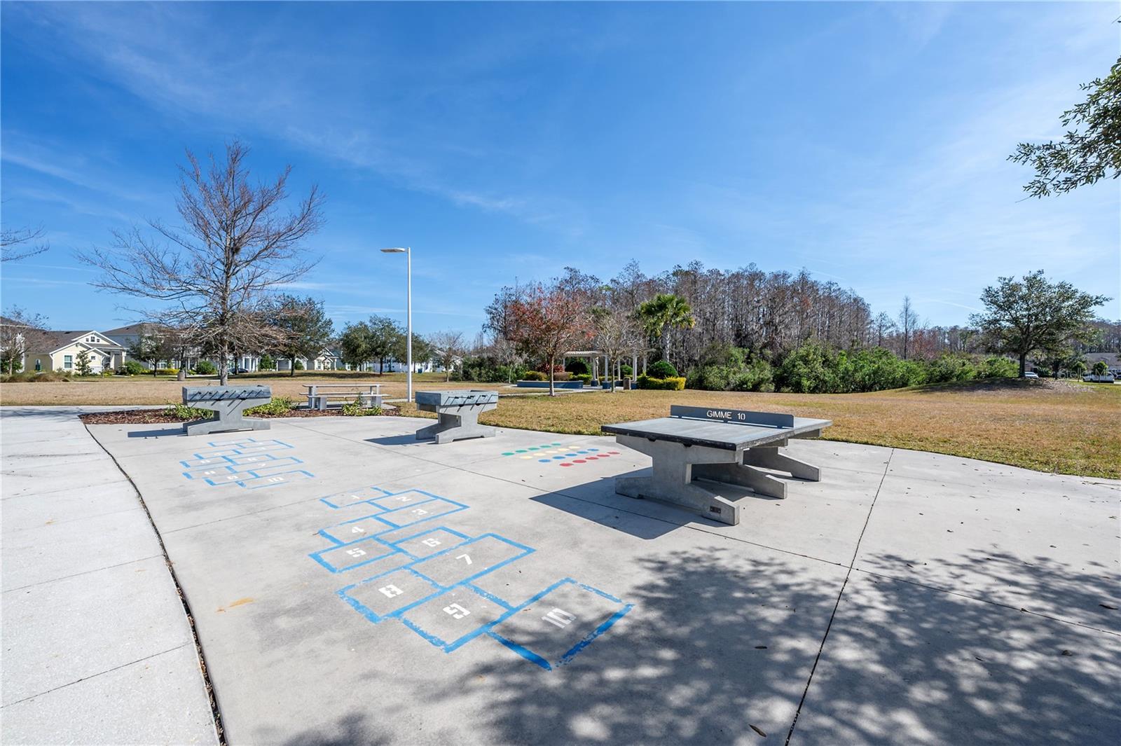 16866 BALANCE CV, LAND O LAKES, FL, 34638