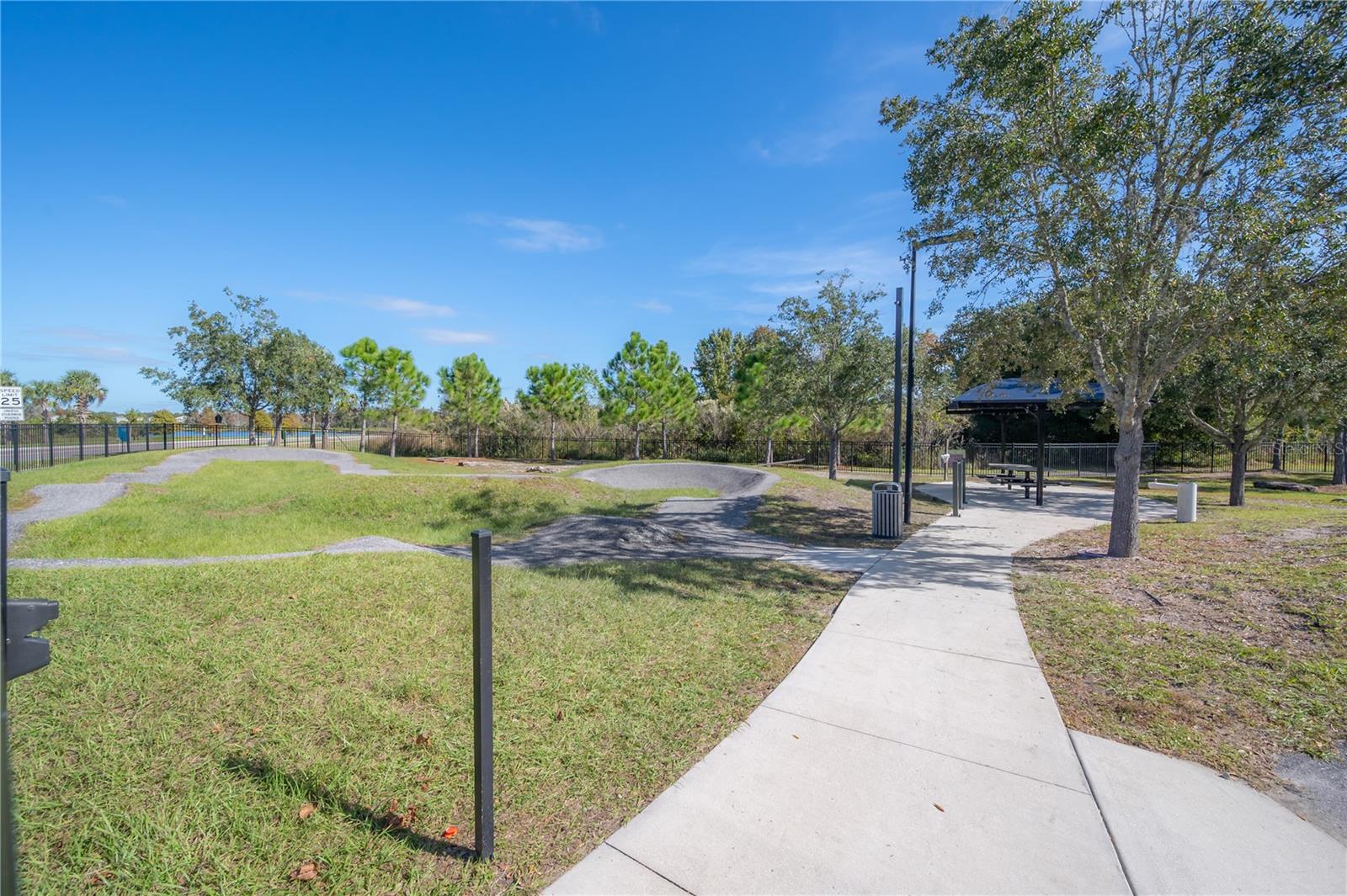 16866 BALANCE CV, LAND O LAKES, FL, 34638