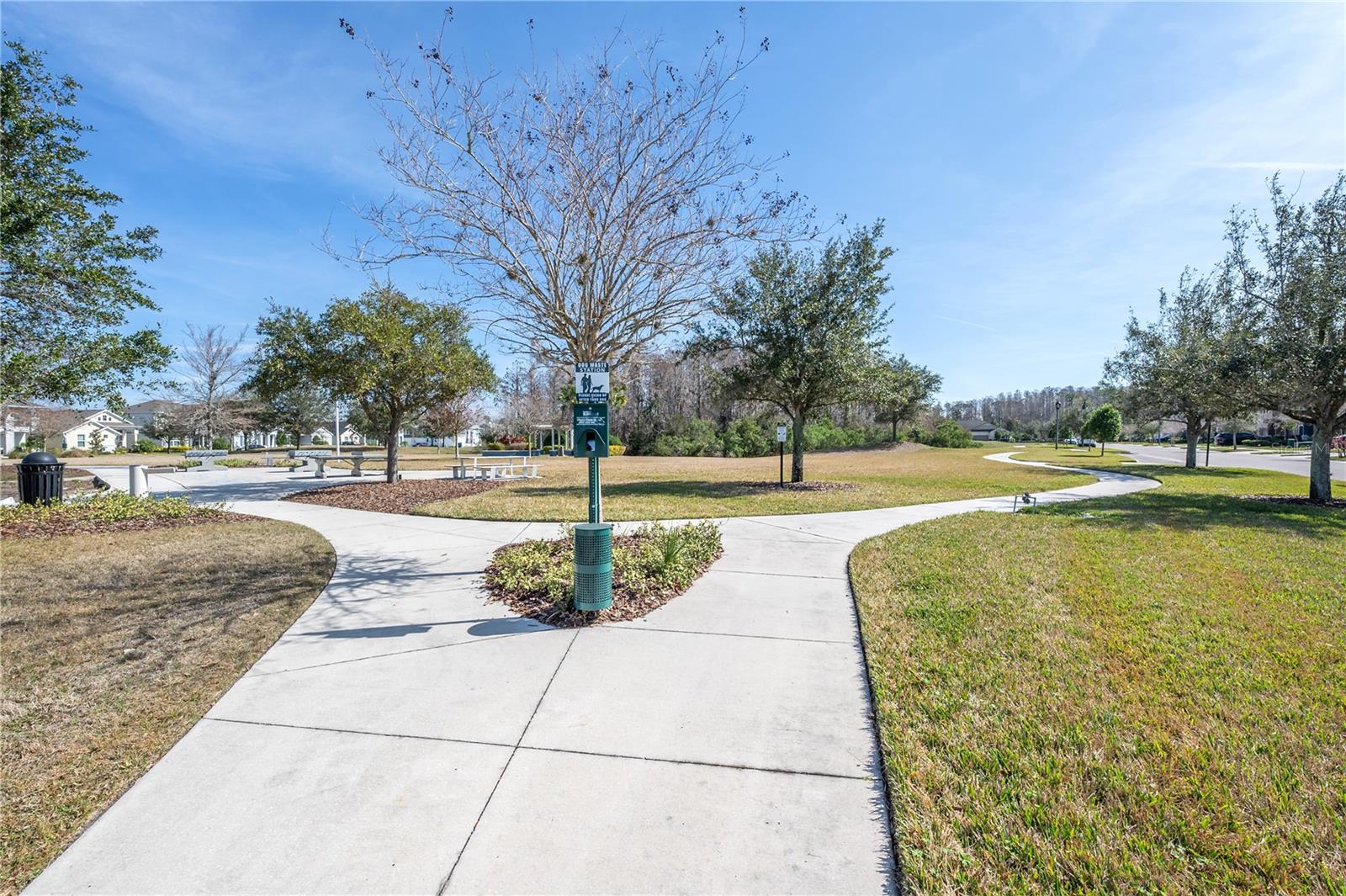16866 BALANCE CV, LAND O LAKES, FL, 34638