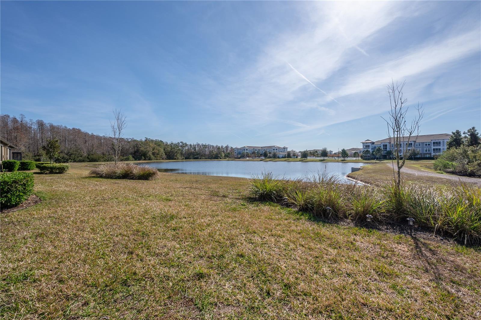 16866 BALANCE CV, LAND O LAKES, FL, 34638