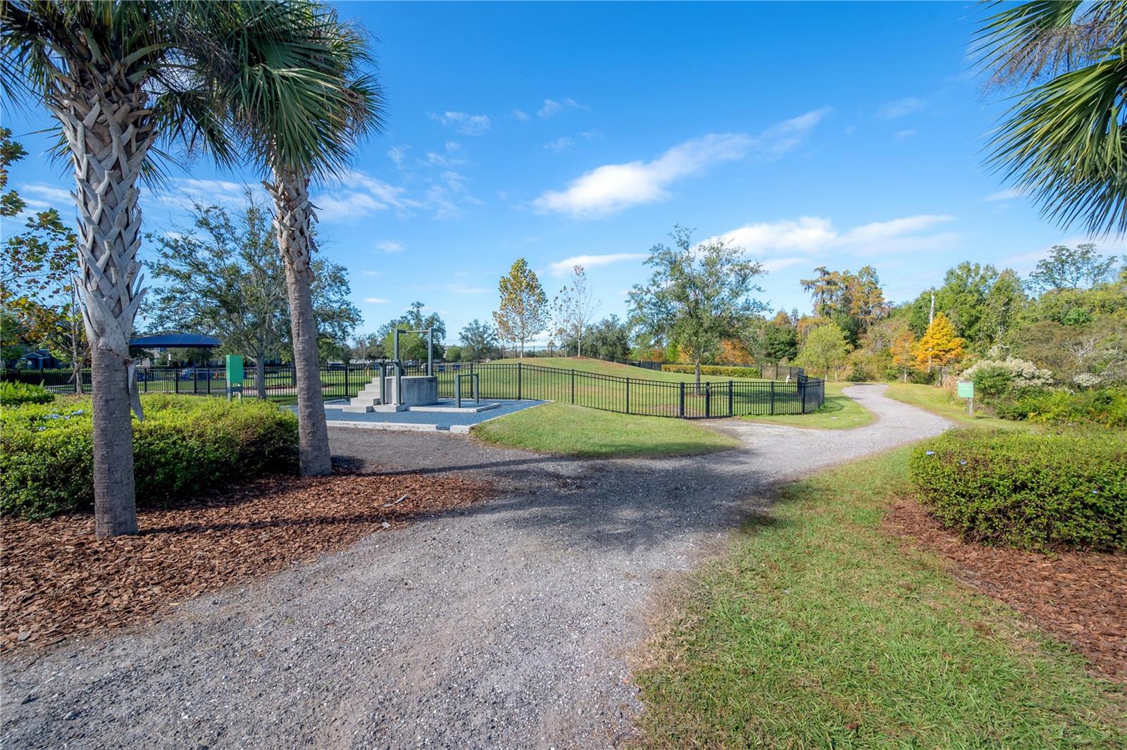 16866 BALANCE CV, LAND O LAKES, FL, 34638