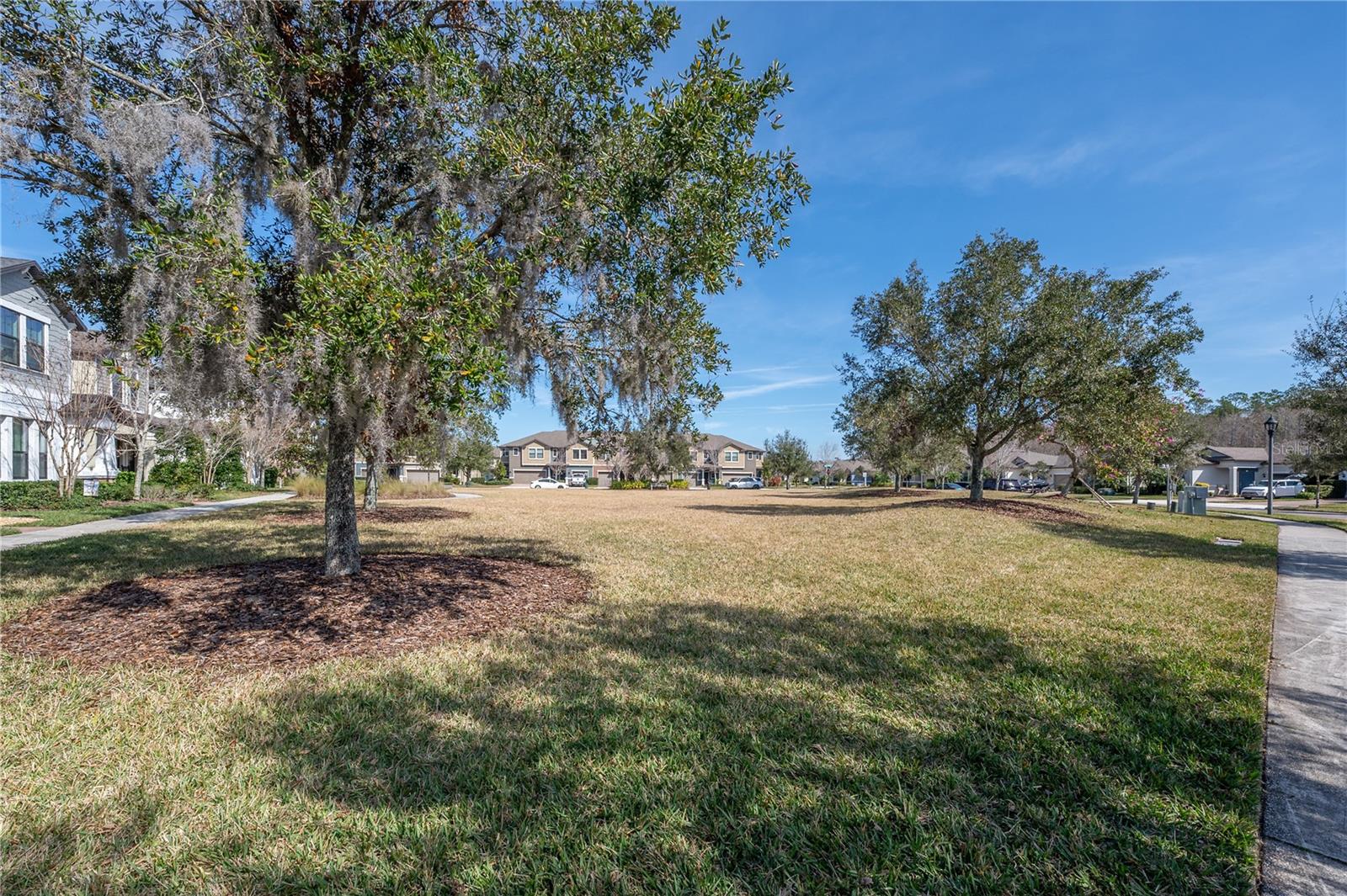 16866 BALANCE CV, LAND O LAKES, FL, 34638