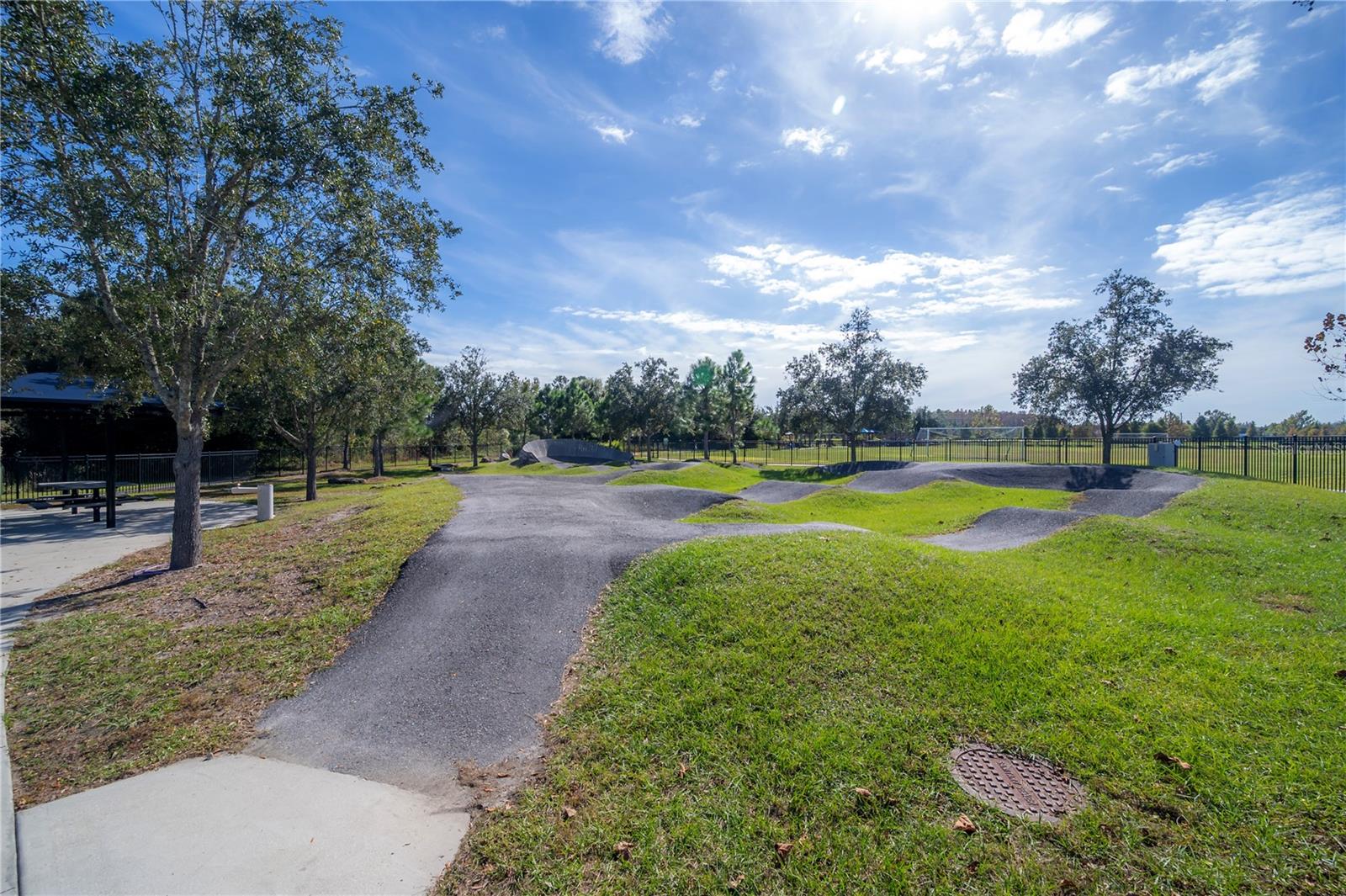 16866 BALANCE CV, LAND O LAKES, FL, 34638
