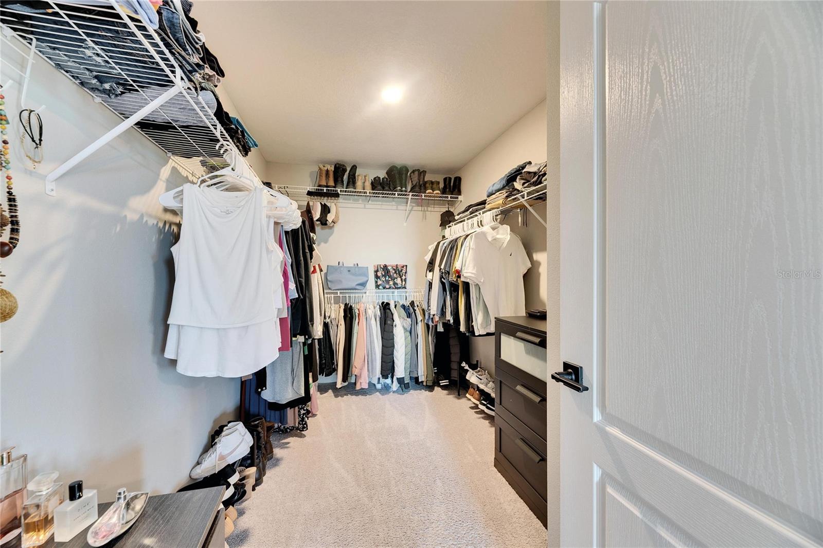 8408 ABALONE LOOP, PARRISH, FL, 34219