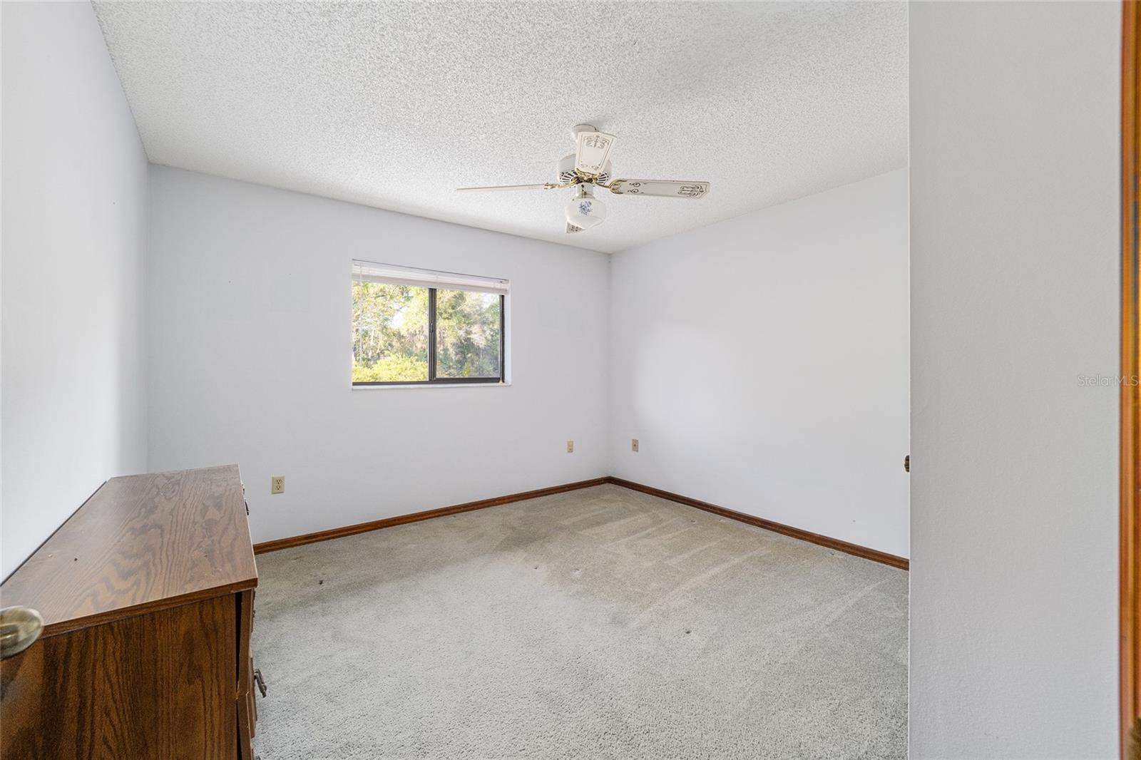 15135 NE 142ND PL, FORT MC COY, FL, 32134