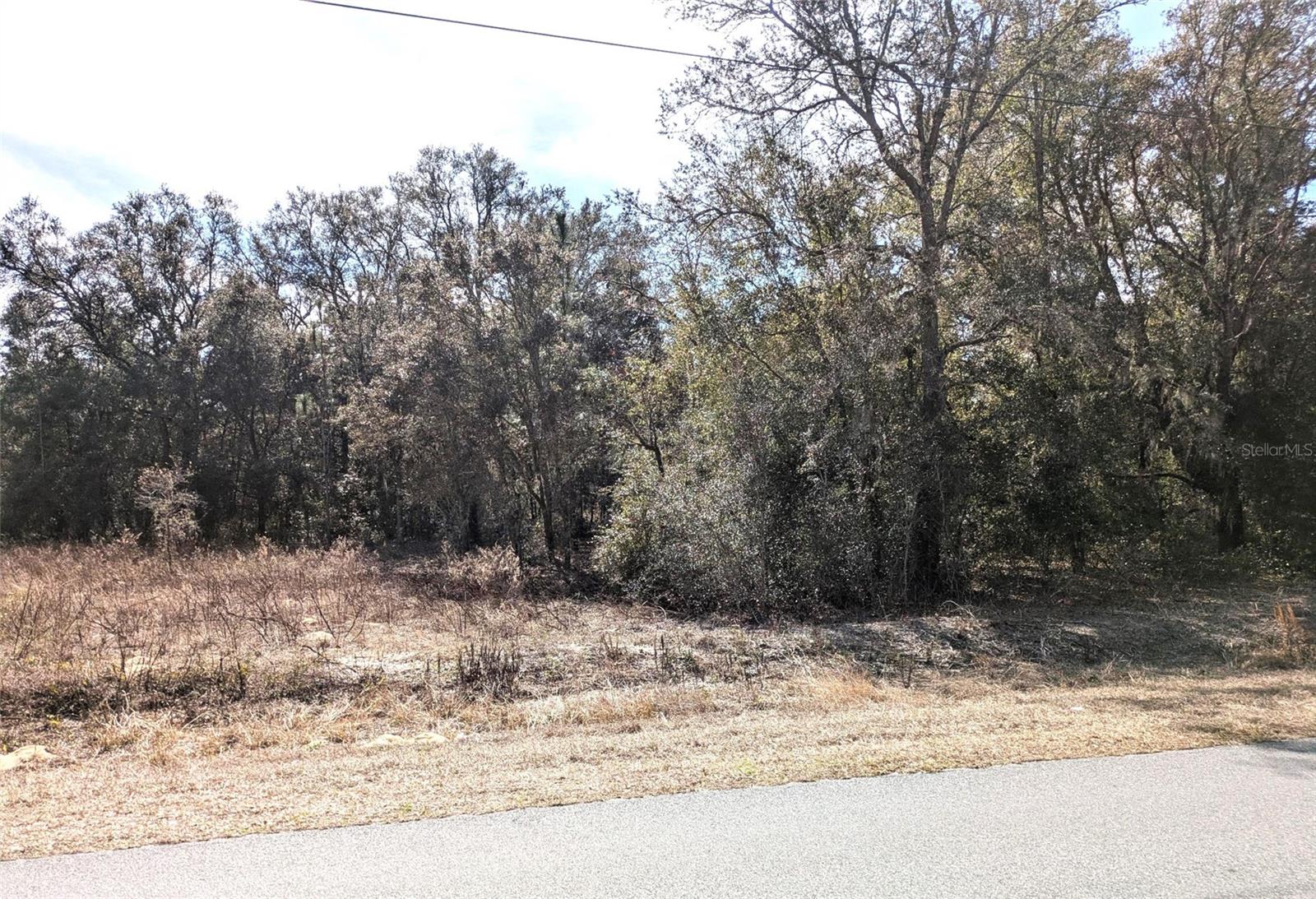 SW BEACH BLVD, DUNNELLON, FL, 34431