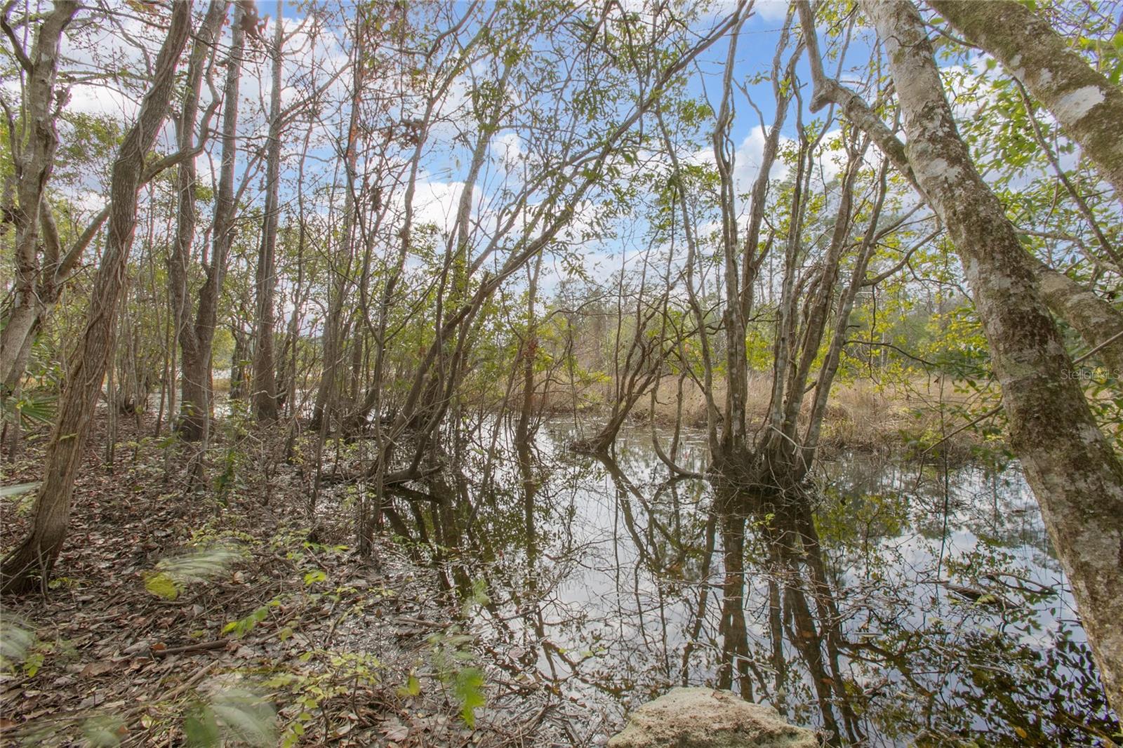 31602 HILLSIDE DR, DELAND, FL, 32720