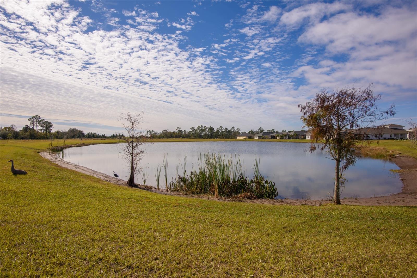 2709 GREENLANDS ST, ST CLOUD, FL, 34772