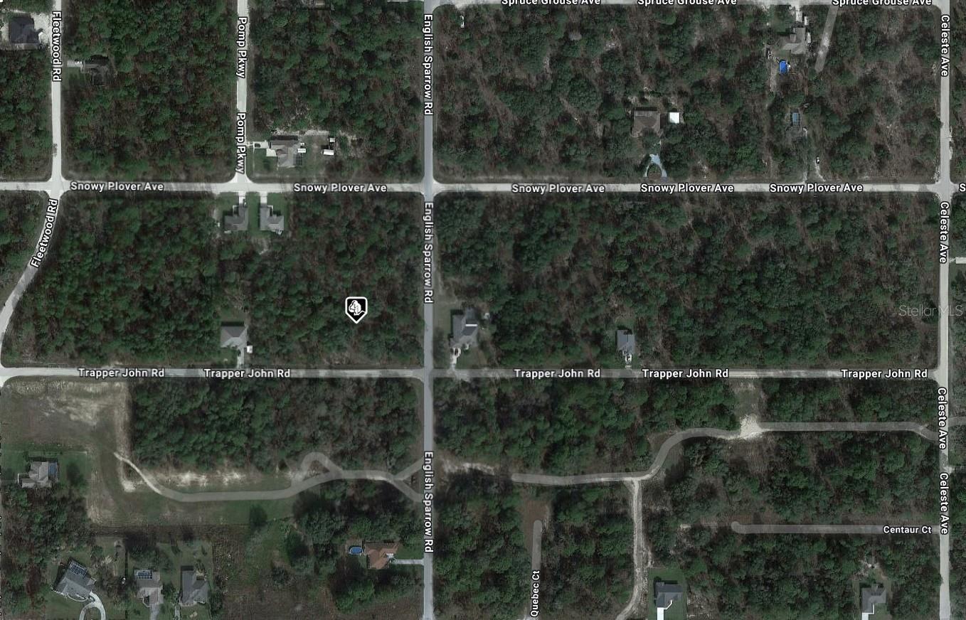 13151 TRAPPER JOHN RD, WEEKI WACHEE, FL, 34614