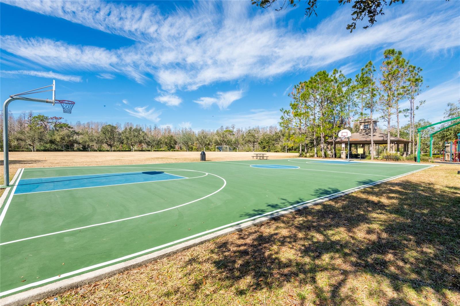 30509 PECAN VALLEY LOOP, WESLEY CHAPEL, FL, 33543