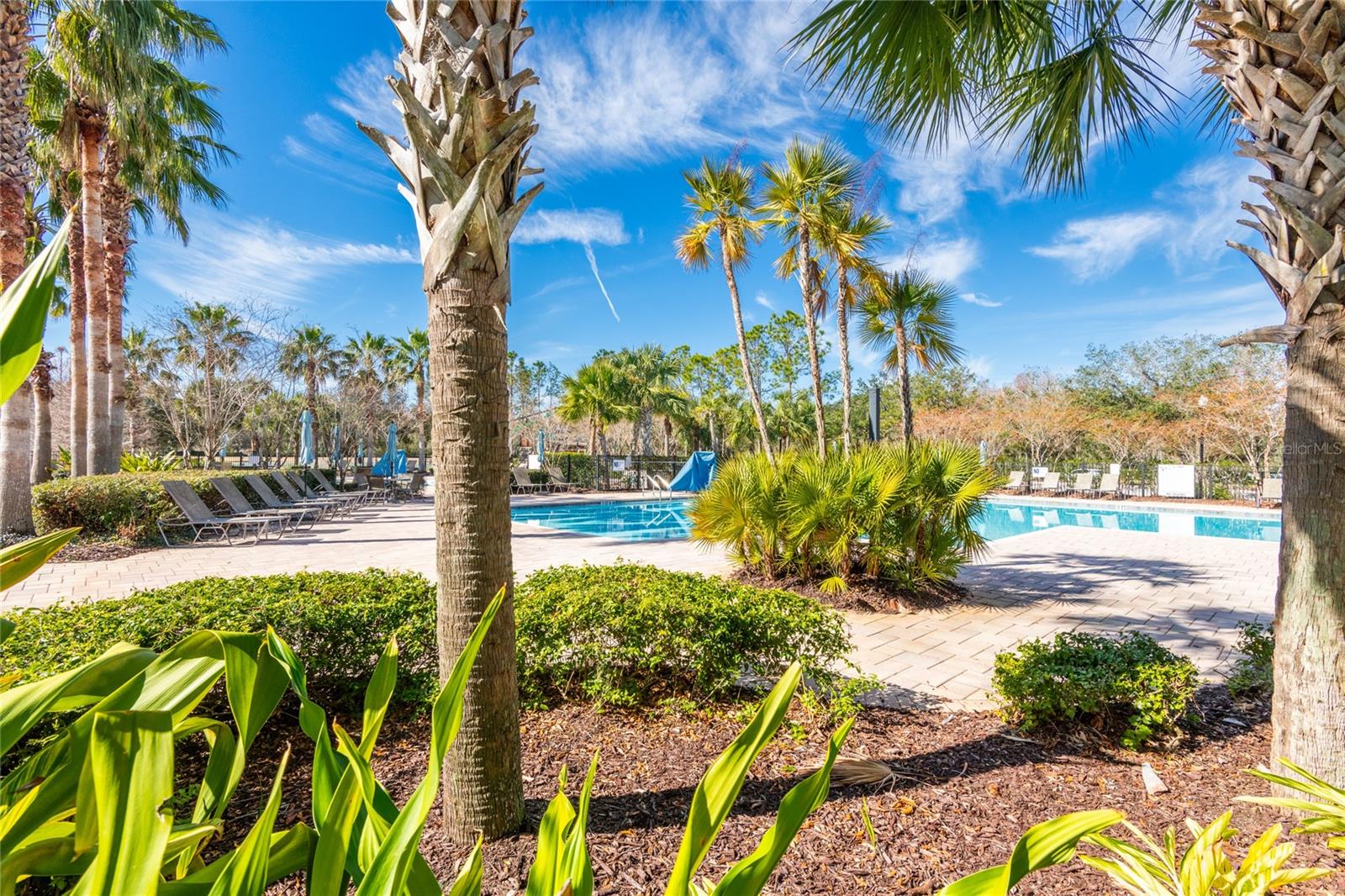 30509 PECAN VALLEY LOOP, WESLEY CHAPEL, FL, 33543