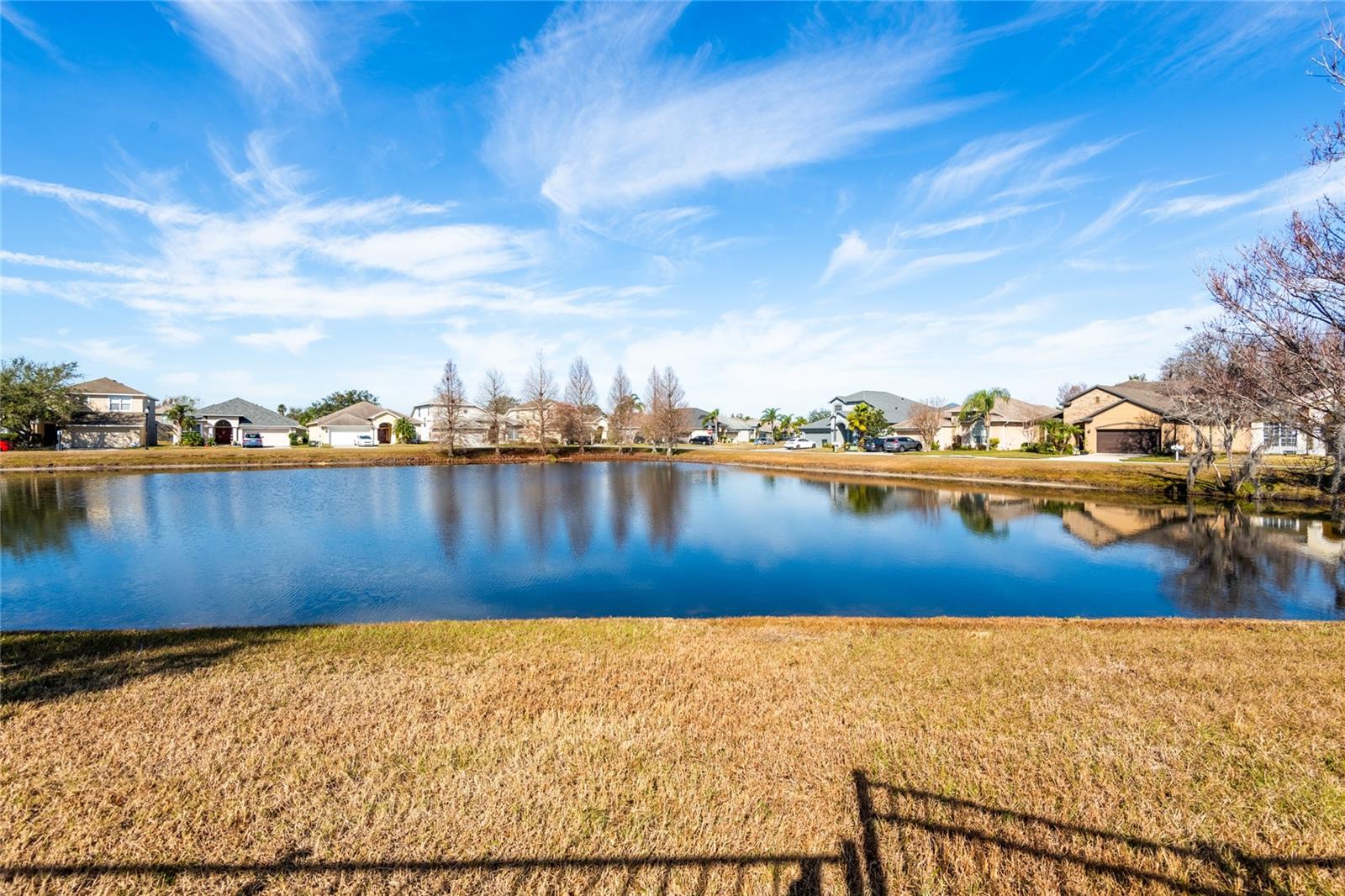 30509 PECAN VALLEY LOOP, WESLEY CHAPEL, FL, 33543
