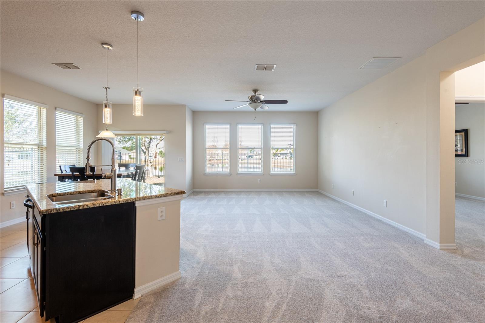 30509 PECAN VALLEY LOOP, WESLEY CHAPEL, FL, 33543