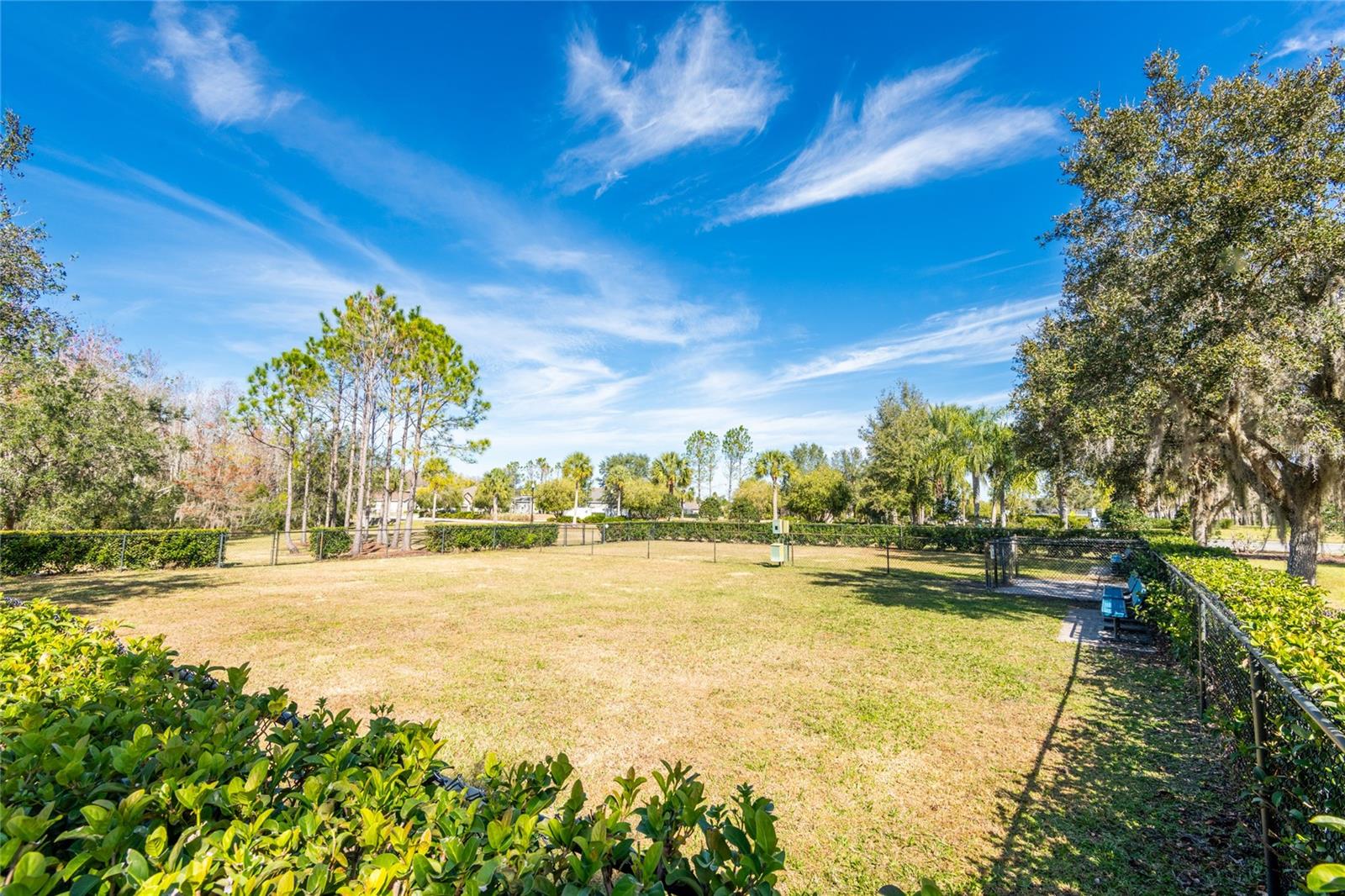 30509 PECAN VALLEY LOOP, WESLEY CHAPEL, FL, 33543