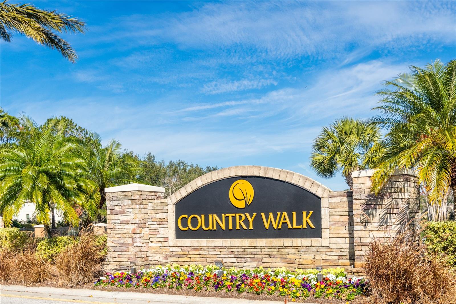 30509 PECAN VALLEY LOOP, WESLEY CHAPEL, FL, 33543