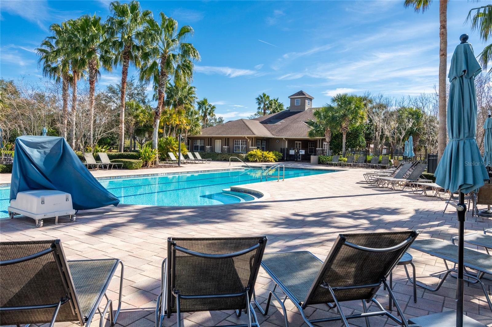 30509 PECAN VALLEY LOOP, WESLEY CHAPEL, FL, 33543