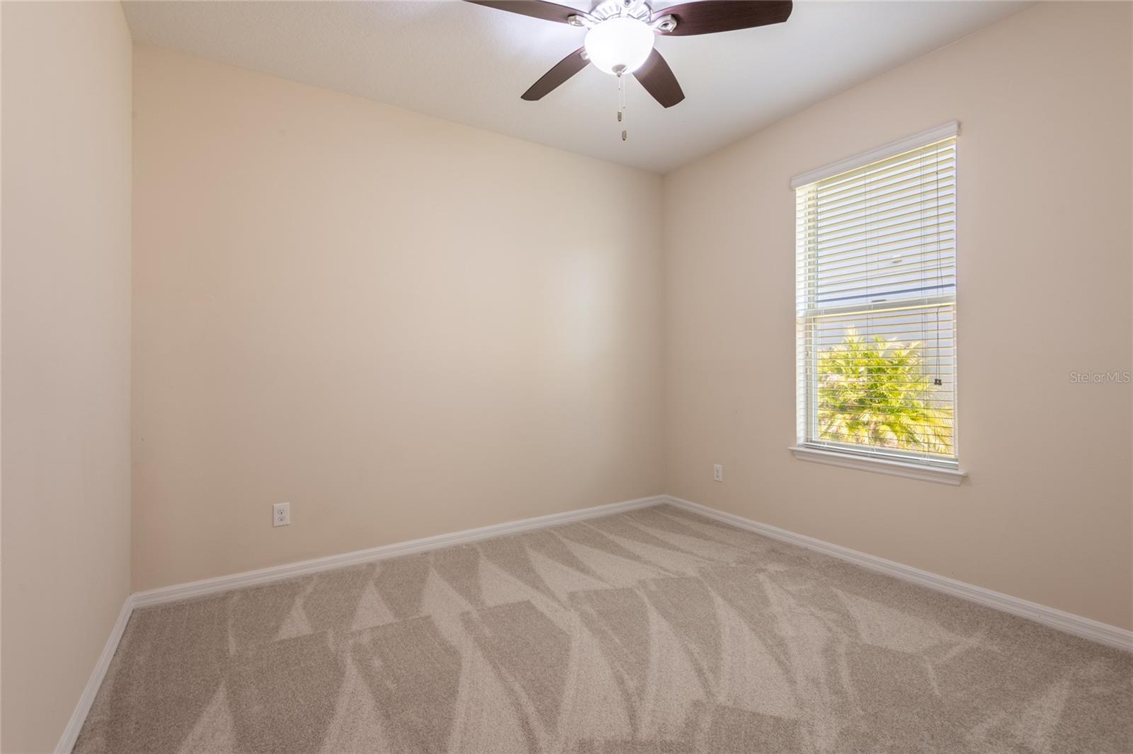 30509 PECAN VALLEY LOOP, WESLEY CHAPEL, FL, 33543